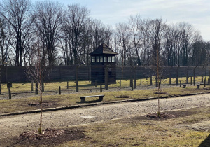 Wycieczka do Oświęcimia i Muzeum Auschwitz - Birkenau