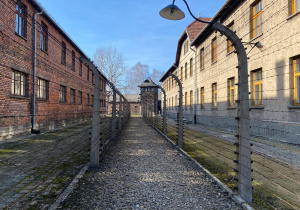 Wycieczka do Oświęcimia i Muzeum Auschwitz - Birkenau