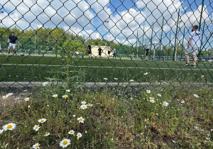 Piknik klasy IIB OPW
