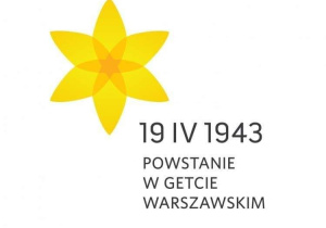 Żonkil na białym tle.