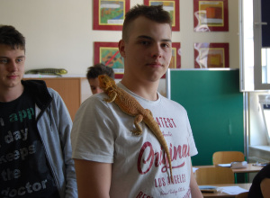 Nietypowa lekcja o gadach