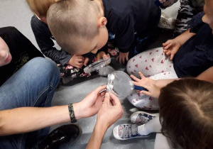 Przedszkolaki oglądający mrówki