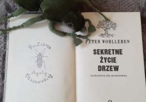 Ferie z książką