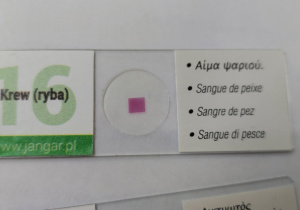 Obserwacje mikroskopowe w klasie 2a
