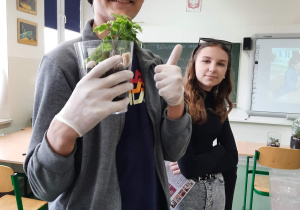 Warsztaty tworzenia lasu w szkle