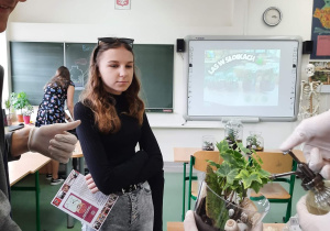 Warsztaty tworzenia lasu w szkle