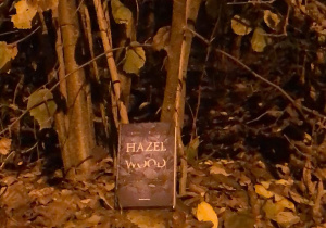 Prace nagrodzone w Gminnym Konkursie Fotograficznym „Książka w jesiennych barwach”
