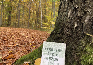 Prace nagrodzone w Gminnym Konkursie Fotograficznym „Książka w jesiennych barwach”