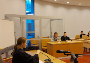 Co w prawie piszczy ? - podsumowanie projektu dla klas IIa i Ic