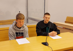 Co w prawie piszczy ? - podsumowanie projektu dla klas IIa i Ic