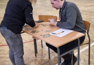 Wielka Orkiestra Świątecznej Pomocy' 2024
