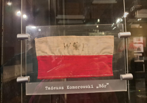 Klasa IVa i IIc w Muzeum Powstania Warszawskiego i Łazienkach