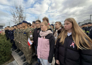 Święto Niepodległości w Andrespolu