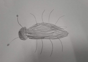 Mrówka narysowana przez przedszolaka